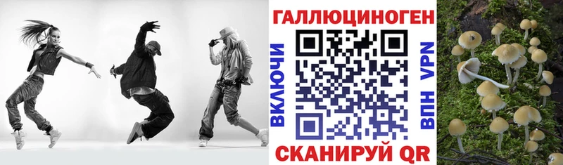 закладка  Приволжский  Галлюциногенные грибы ЛСД 